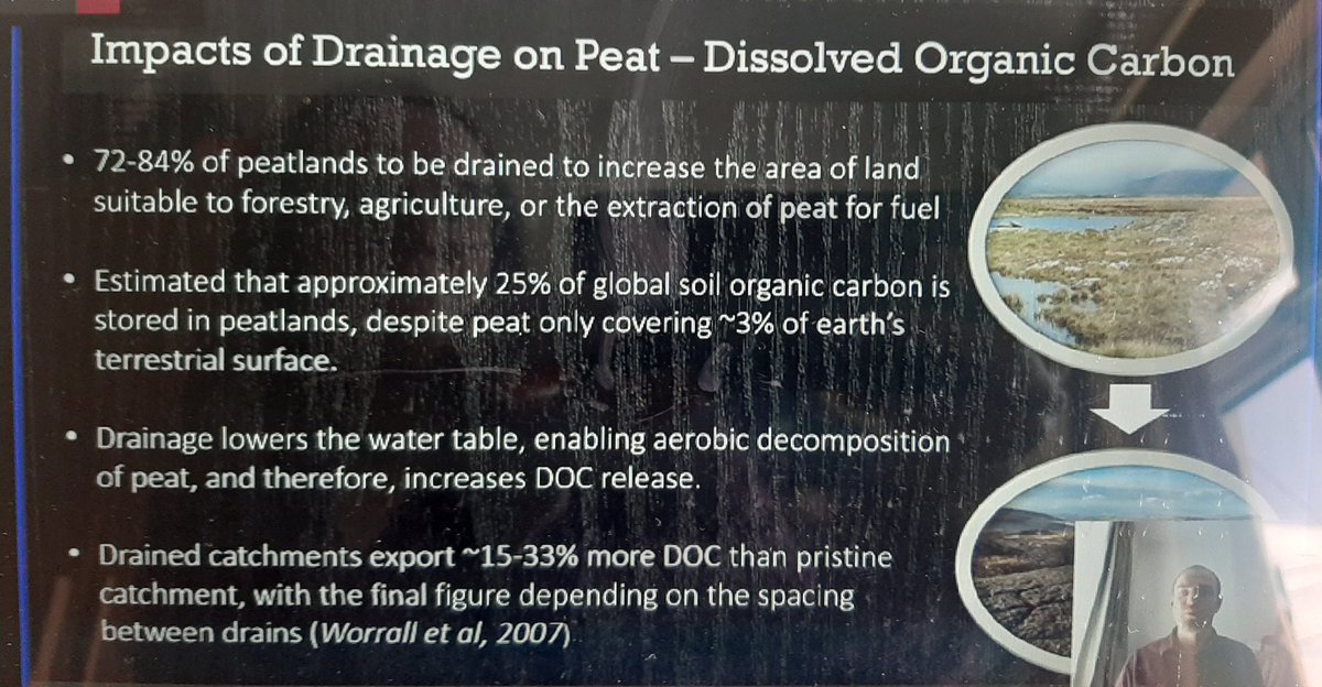 Rob is authoritative on the impacts of drainage on peat and its hydrological effects. He highlights our responsibility for bog restoration in terms of mitigating impacts of climate change, but also in terms of natural hazard and water table management.