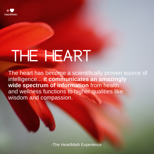 The heart is a scientifically proven source of intelligence. More on this topic here:  hmath.me/2T4i3Xe