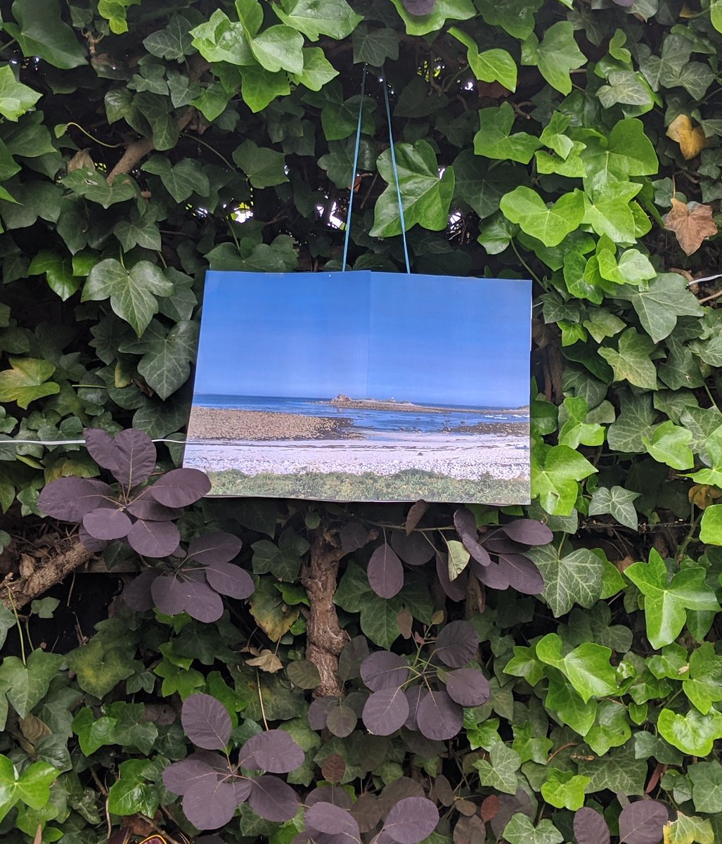 Nonam212's tweet photo. We should have been @troytownfarm this week. Instead we are bringing the islands to London. Today we've done Scilly inspired art. Sand is from Scilly.The little loom was a poor substitute for @peacock_trish's loom but it did the trick &amp; we all had fun while looking at the "view" https://t.co/5bdc8nWmDm