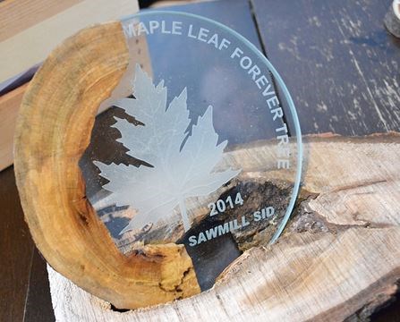 SawmillSid's tweet photo. Always a strong advocate of buy Canadian. Start with local, then regionally, then provincially. 
@SawmillSid @DaskoWard1 @BonnieCrombie @AnwarKnight @CreativeHub1352 @hdoyle2 @HabitatHM #strub #pickle #Ontario #farmers #local #wood #charcuterie #Foodie #Mississauga #Toronto https://t.co/avttnS58yn