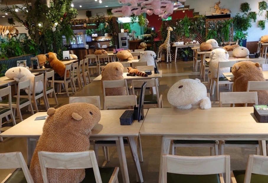 OmgExists's tweet photo. A zoo in Japan has employed unsold capybara stuffed animals to show how social distancing is to be achieved at its restaurant. https://t.co/Znc8H1LIqi