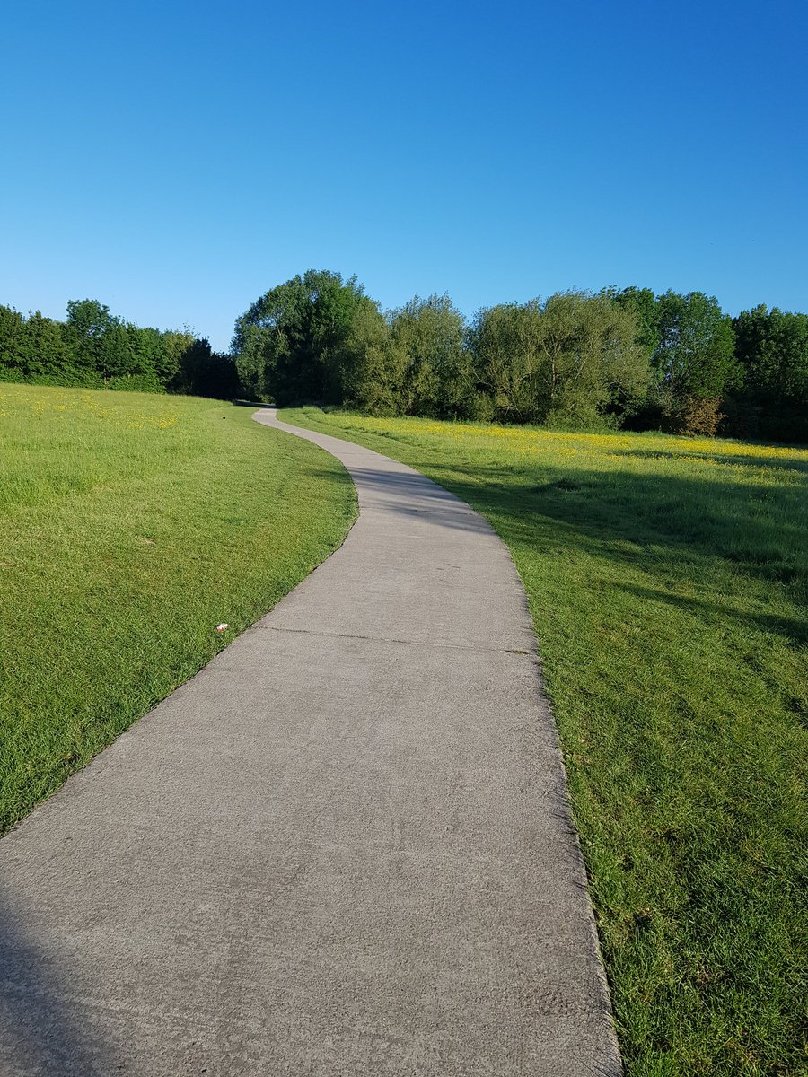 MeowStrutt's tweet image. Early morning walks 🥰🙌💗