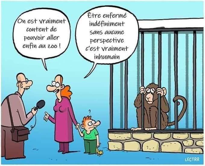 code_animal's tweet photo. Dissonance cognitive ?
La captivité des #animaux dans les #zoos continue pour notre simple divertissement.
#BoycottZoo #StopCaptivité https://t.co/jVOX62dI5M