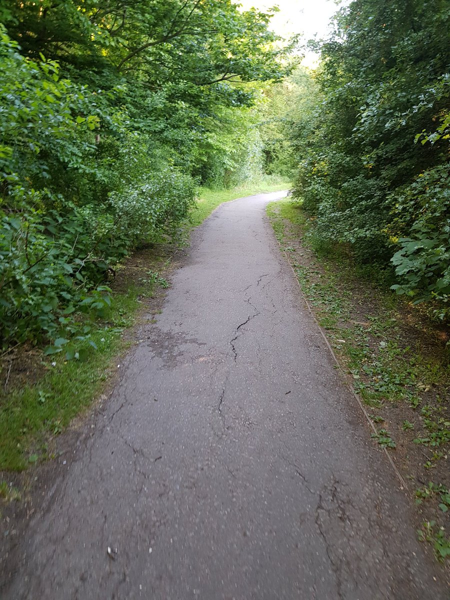 MeowStrutt's tweet image. Early morning walks 🥰🙌💗