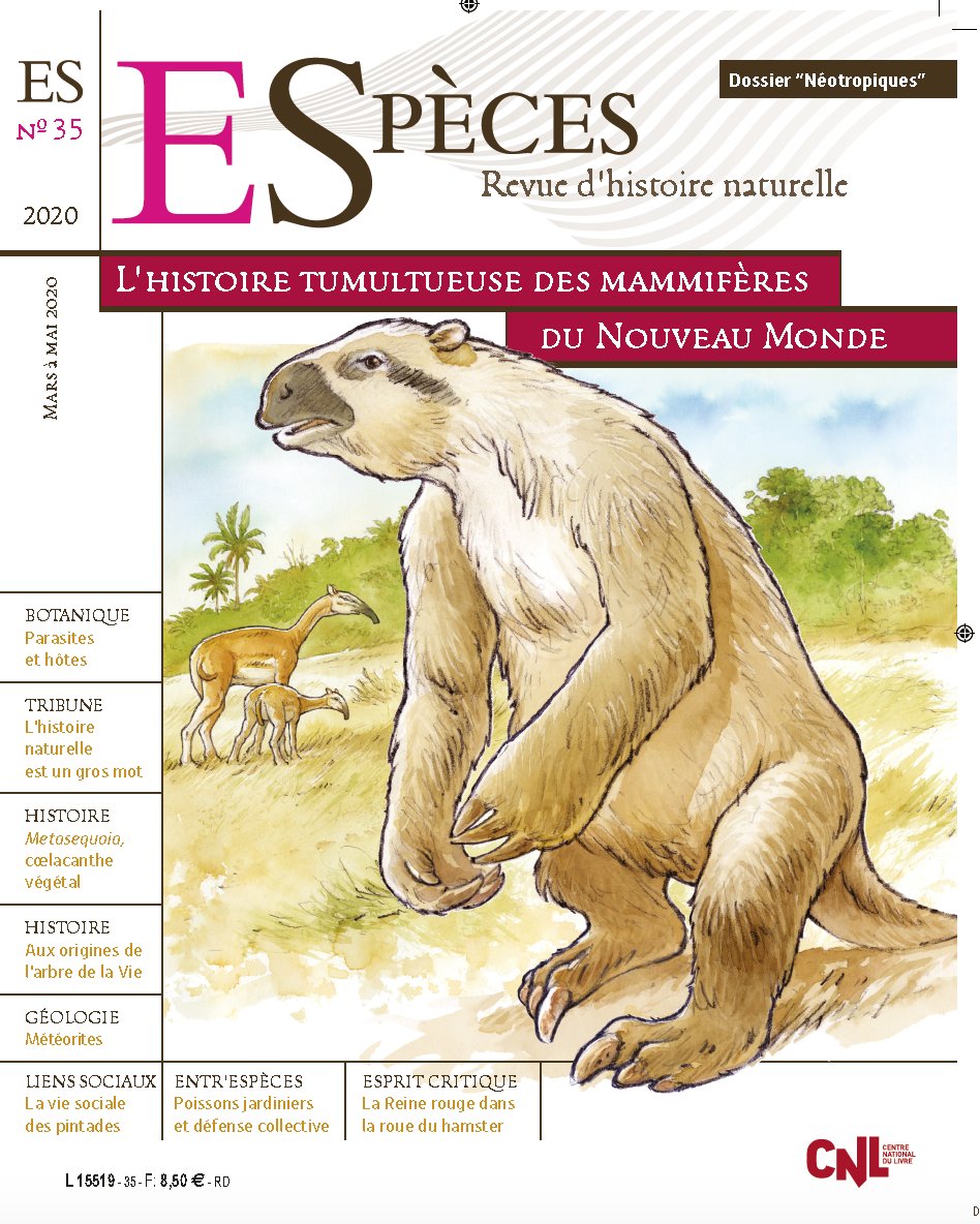 BrunoCorbara's tweet photo. @Especes_revue
Le N°35 est encore dans les kiosques pour quelques jours... Le N°36 le remplacera le 29 Mai. Qu’on se le dise !
https://t.co/rMNykon2jj https://t.co/jWrC7Zfuqo