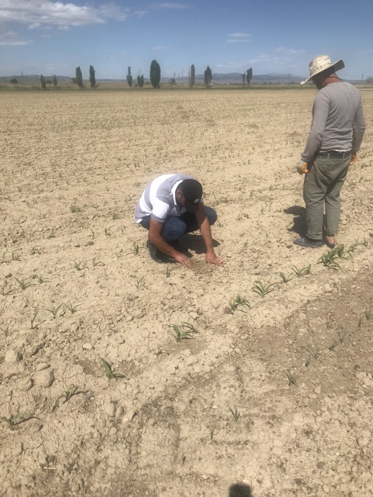 Fedakar çalışma arkadaşlarımızla birlikte bayram mesaisindeyiz. <a href="/kocatepeuniv/">Afyon Kocatepe Üniversitesi</a>