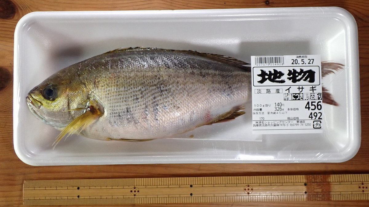 Sawagani550 Twitterissa 年5月25日購入 いさぎ イサキ このスーパーでは大変めずらしい 立派な卵を持つメス 皮下に脂肪の層がしっかりとあり とんでもなくおいしいお刺身になった 小5男児は一口たべて ふわふわー と叫んだ たまねぎ島のスーパーの Sawagani550 Twitterissa 年5月25日購入 いさぎ イサキ このスーパーでは大変めずらしい 立派な卵を持つメス 皮下に脂肪の層がしっかりとあり とんでもなくおいしいお刺身になった 小5男児は一口たべて ふわふわー と叫んだ たまねぎ島のスーパーの