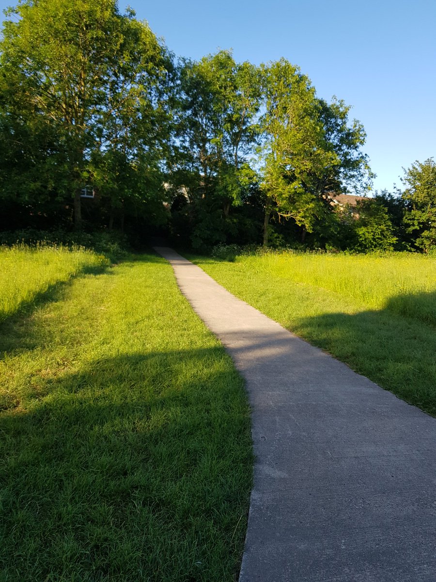 MeowStrutt's tweet image. Early morning walks 🥰🙌💗