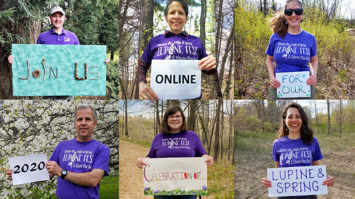 We’ll be celebrating spring a little differently this year with #LupineFestFromHome. We’re presenting a virtual festival online and we need your help! Look for our posts this week and share your creativity, observations of spring and past Lupine Fest experiences. #AlbanyPineBush