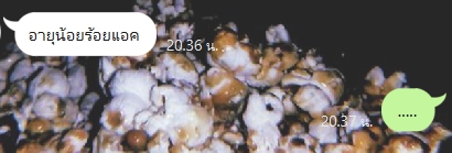 คุณมีสิทธิ์ที่จะไม่พูด