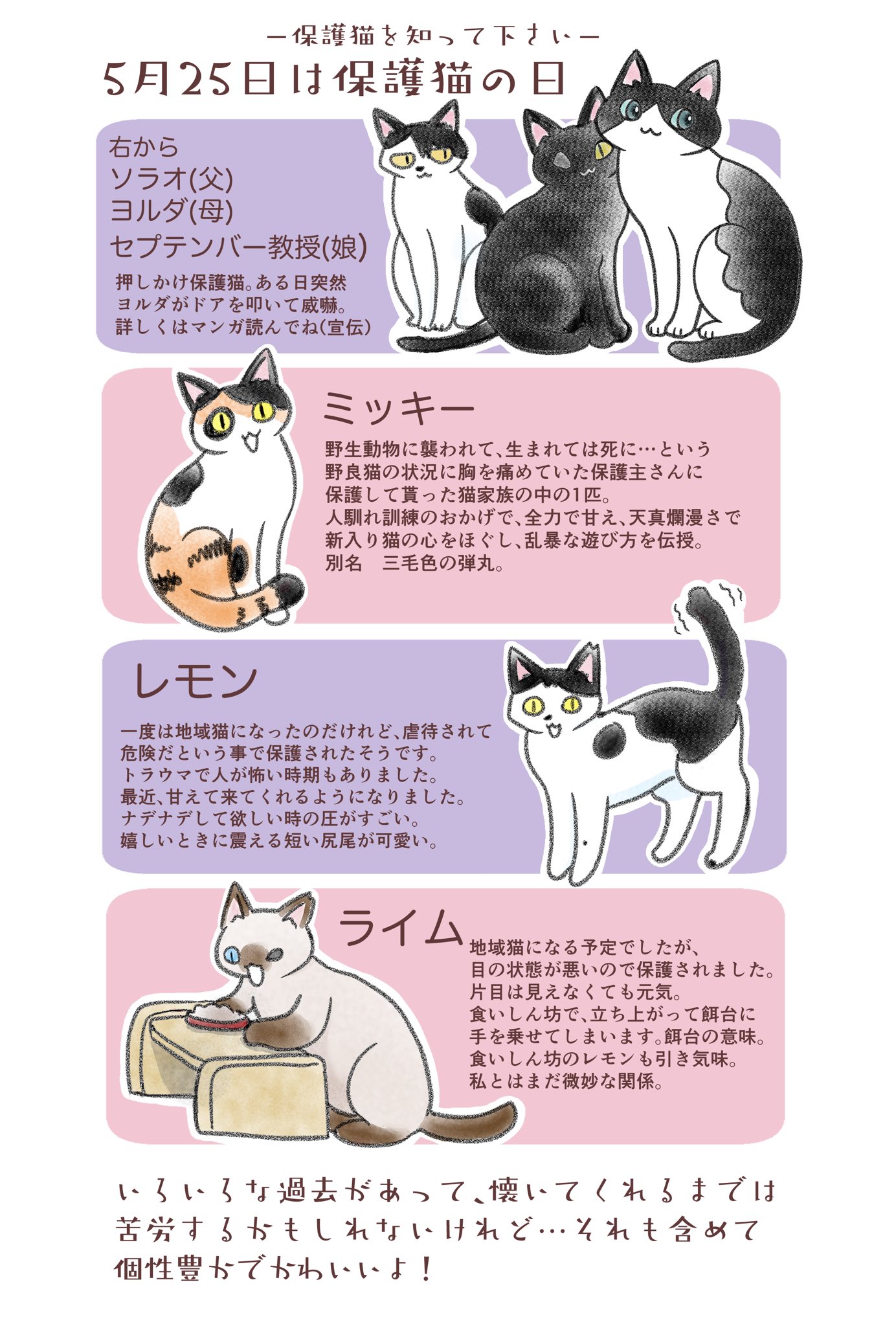 すぎさわ Rt Kmzwked 保護猫の日 だそうですね T Co Xwbywzfidc Twitter