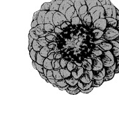 同人誌に纏めたのは2017年だけど描き上げたのはもっと前なので全てアナログです(ベタの塗りムラもそのままですが逆にいい味なのでは)
花は筆ペンとハンコを組み合わせて描いてます。海外で見つけて買ったスタンプもちらほらあった気がする
おまけ漫画をfanboxに上げてます
https://t.co/giGDKMPkCO 