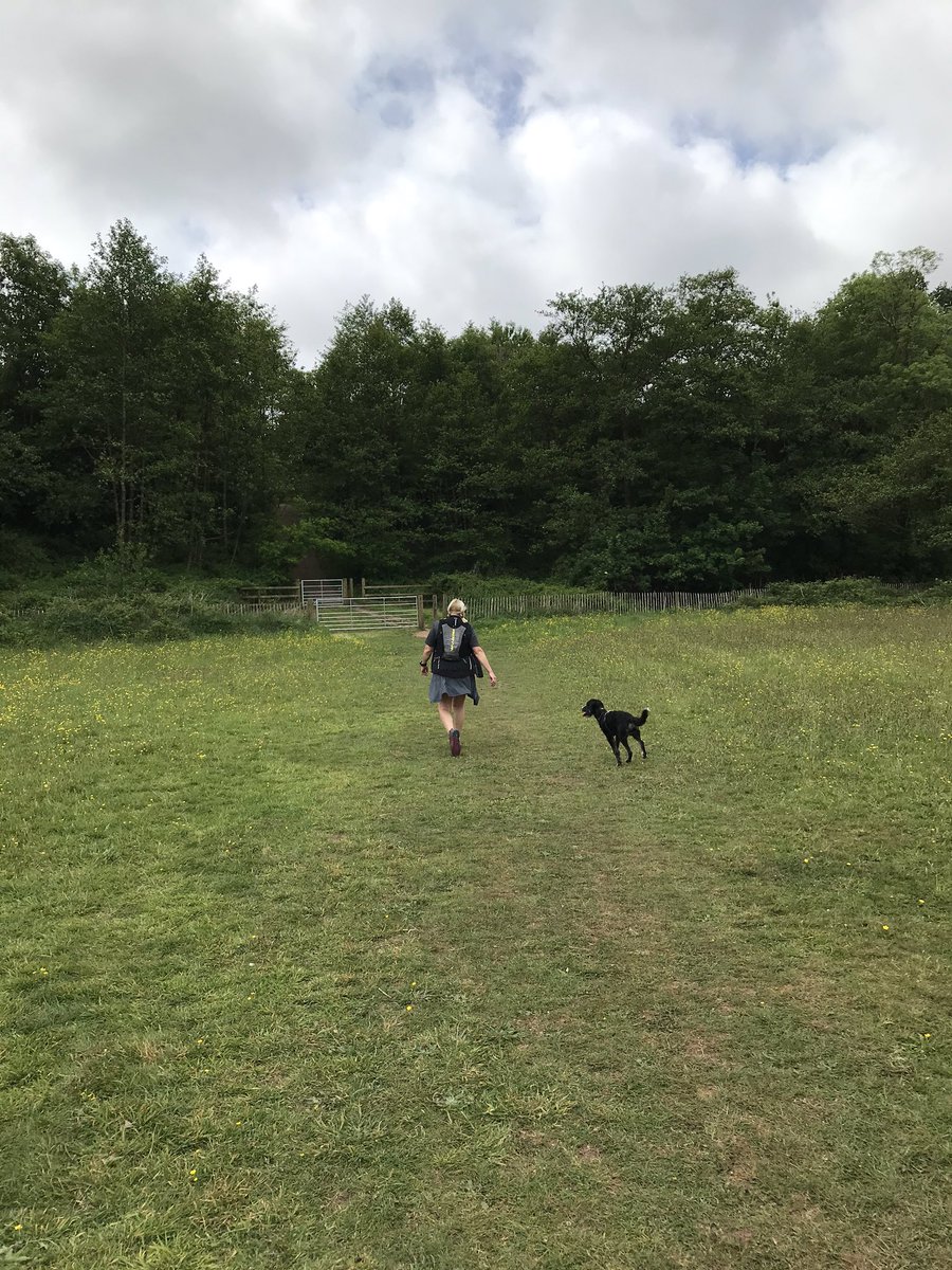 Sian_Parry's tweet photo. My happy place 😊#trailrunningwales #trailrunning #ultrawales #savedinaspowyswoods https://t.co/b9BQncqh6Y