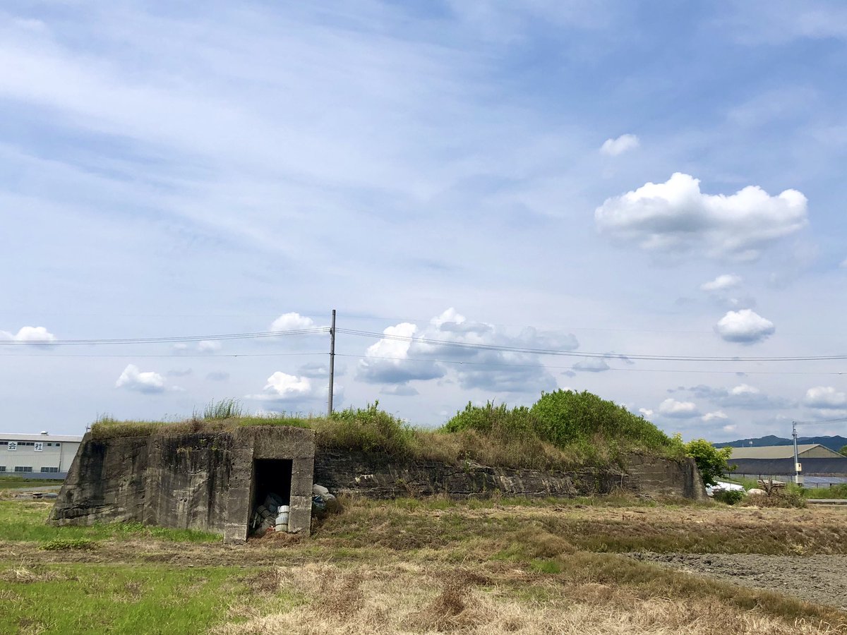 cotucotu1's tweet photo. 【旧柳本飛行場 防空壕跡】
奈良県天理市柳本町

正式名は「大和海軍航空隊大和基地」
太平洋戦争中の防空壕になります。
本格的な設営は1944年6月から始まり翌年の初旬に主滑走路１本が完成
その後三本の滑走路を設営する中、8月16日に停戦を迎えまだそうです。

写真は岸田川北側の防空壕です。 https://t.co/xGJSNa1n8v