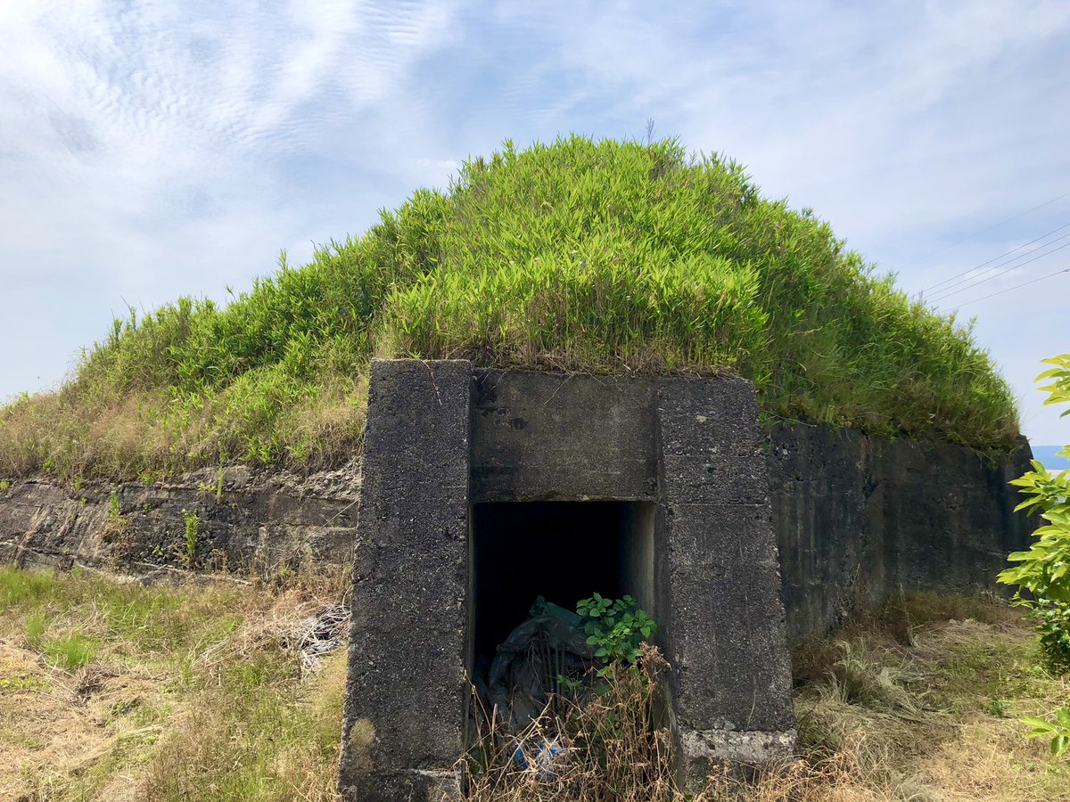 cotucotu1's tweet photo. 【旧柳本飛行場 防空壕跡】
奈良県天理市柳本町

正式名は「大和海軍航空隊大和基地」
太平洋戦争中の防空壕になります。
本格的な設営は1944年6月から始まり翌年の初旬に主滑走路１本が完成
その後三本の滑走路を設営する中、8月16日に停戦を迎えまだそうです。

写真は岸田川北側の防空壕です。 https://t.co/xGJSNa1n8v
