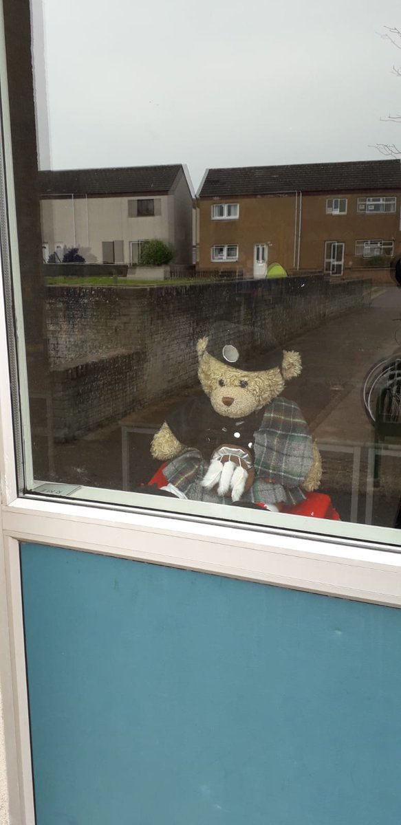 GreenwardsP's tweet photo. Thank you for taking part in the first week of our ‘Bear Hunt’.  You can still join in by putting a bear in your window and looking out for other bears! 🐻 https://t.co/4IfZ6KAKCs