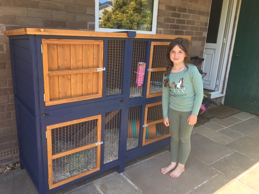 Amanda Sharp tweet media