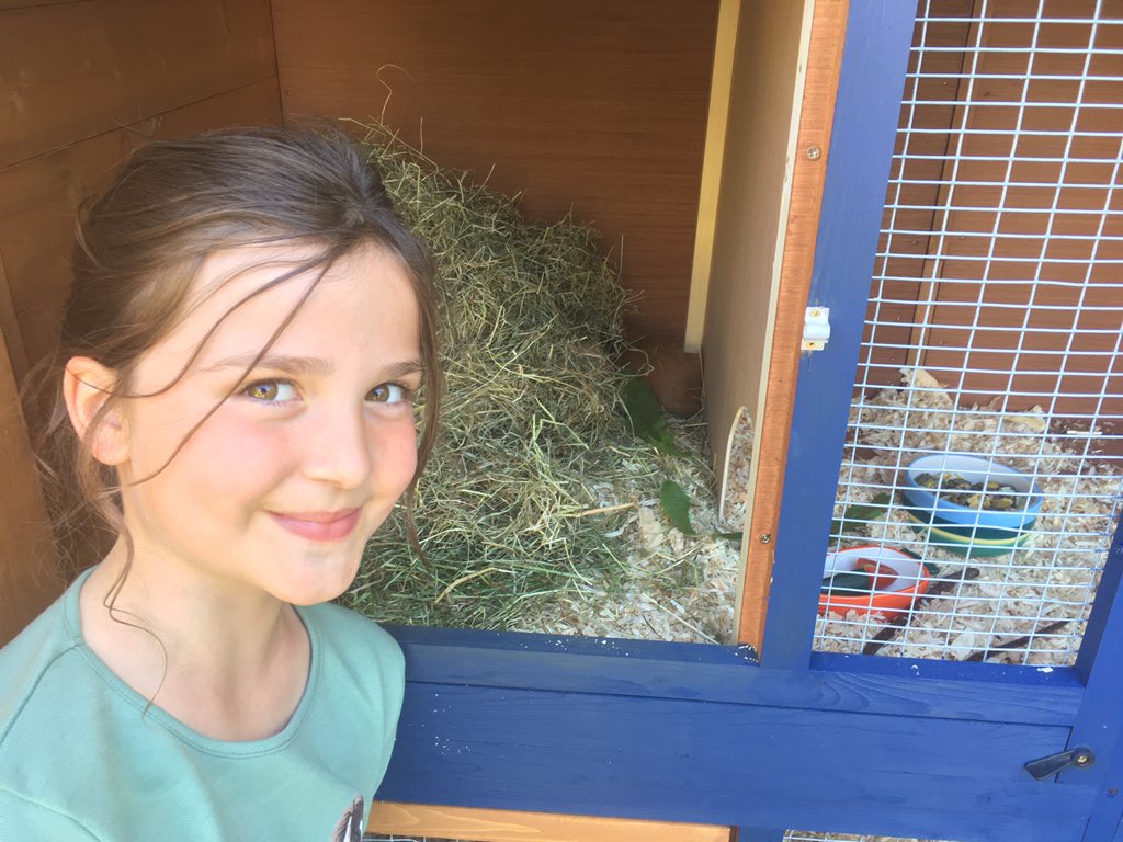 Amanda Sharp tweet media