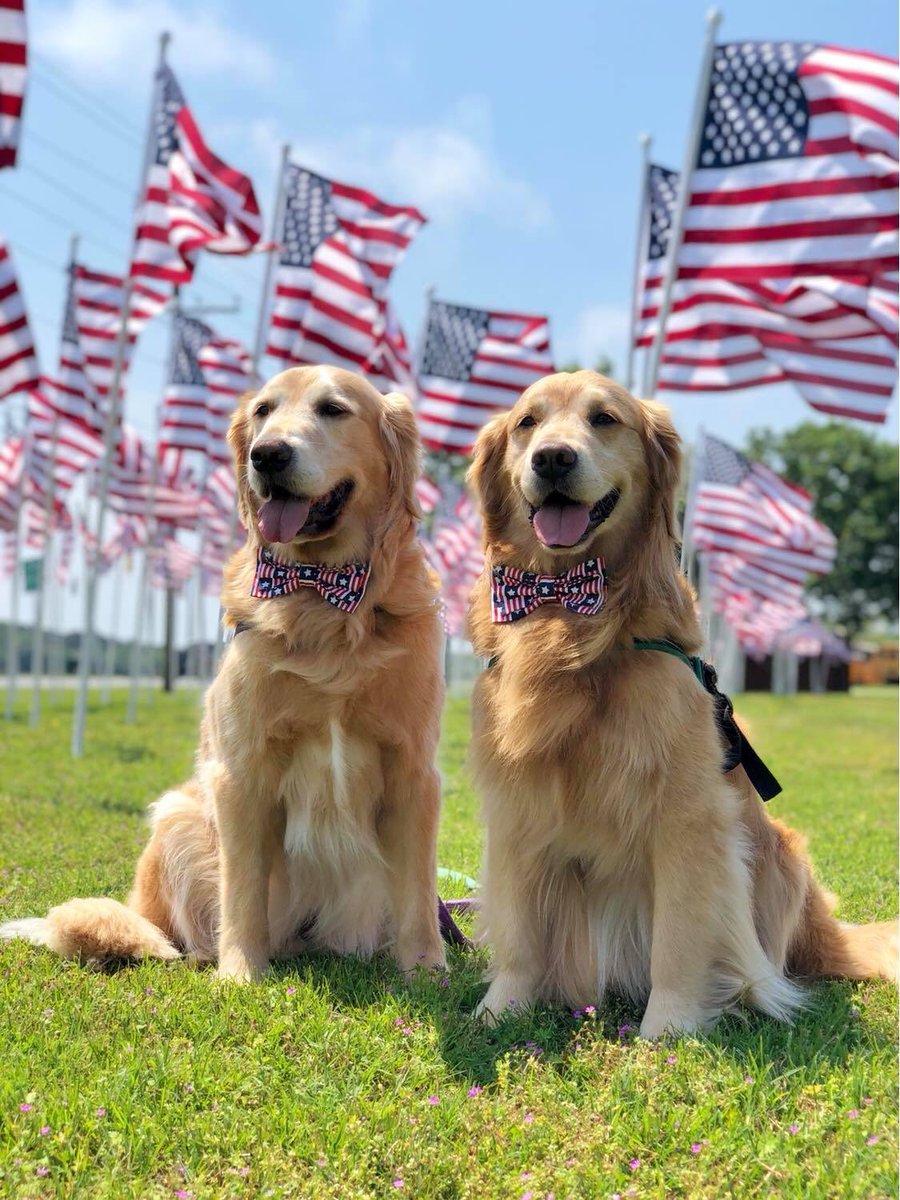 Happy Memorial day 🇺🇸♥️🤍💙

Memorial day is the day that's set aside to remember with gratitude and pride all those who served and died for our country and our freedom. May your day be filled with memories and peace. God bless America.

Photo credit: Linda Keynton Walter