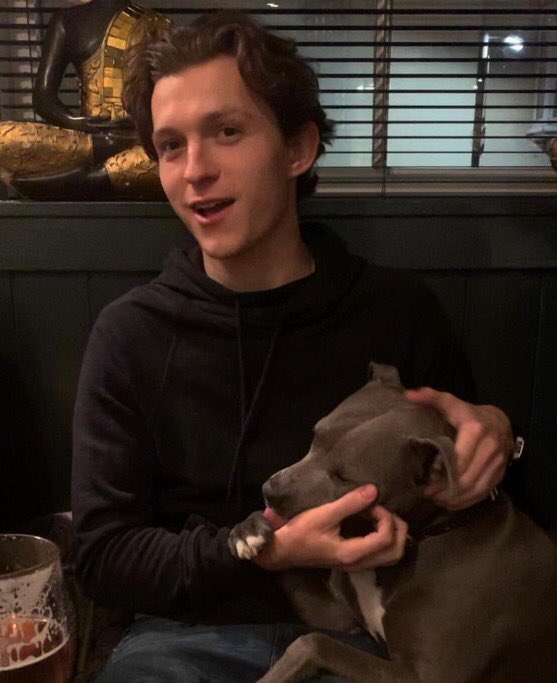 tom holland and tessa being the softest and superior duo: a thread