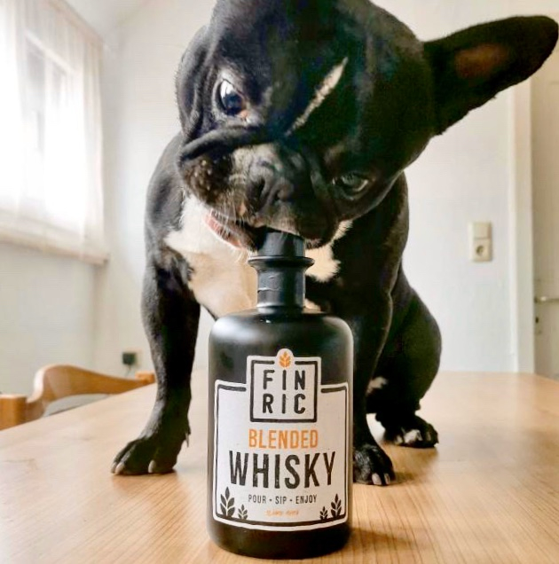 finricwhisky's tweet photo. Montag und endlich Feierabend. Da bekommt man doch richtig Lust auf Whisky!
#poursipenjoy 
📸 @pablo_the.talking_frenchie
https://t.co/czrHAmuqd3

#whisky #finricwhisky #finricblendedwhisky #finric #blend #blendedwhisky #blendedscotch #scotchwhisky #scotch #scotchgram #zuhause https://t.co/s1V1AryNAN