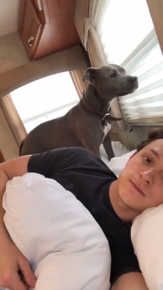 tom holland and tessa being the softest and superior duo: a thread