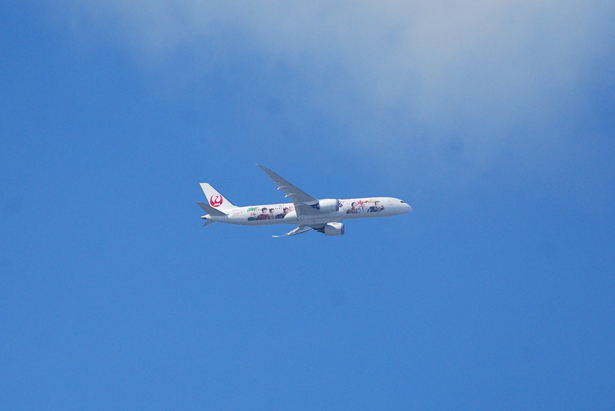 jg1qnz's tweet photo. 25日の✈Japan Airlines　＃JL48　＃JAL
ARASHI HAWAII JET　＃B787ー9ドリームライナー
登録記号：JA873J　
ヘルシンキ→東京羽田
＃旅を夢見て　＃羽田空港　＃お家上空　＃青空写真 https://t.co/h4Ml0PJUG3