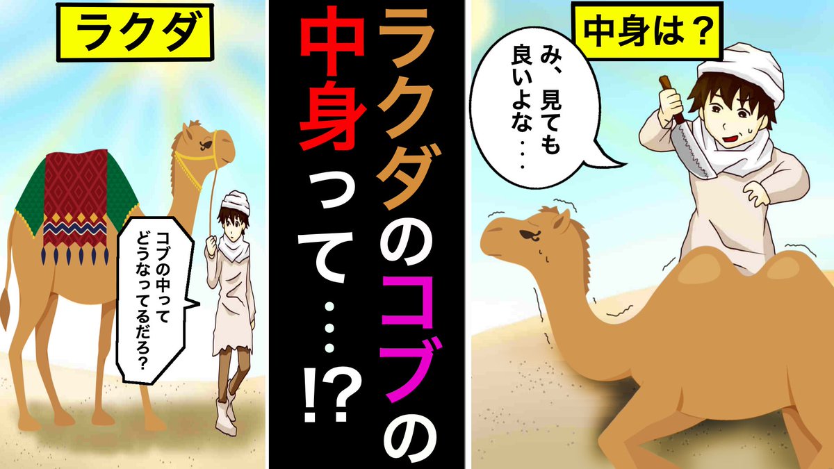 雑学王子トリビアーン Youtubeマンガ動画 動画公開 今回のテーマ ラクダ のコブの中身とは ラクダって他の動物と違って コブ がありますよね あのコブの中には 何が入ってるのでしょうか 動画はこちらから T Co 雑学王子トリビアーン Youtubeマンガ動画 動画公開 今回のテーマ ラクダ のコブの中身とは ラクダって他の動物と違って コブ がありますよね あのコブの中には 何が入ってるのでしょうか 動画はこちらから T Co