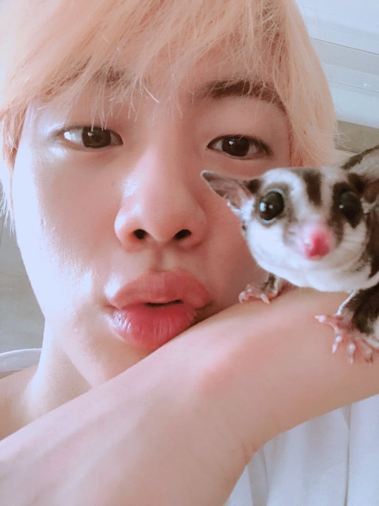 seokjin and his love for his pets; a thread