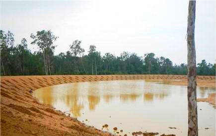 The pond should have gentle slope gradient so that the water flows down smoothly into the pond. On the lower side the earthen embankment. The soil that's digged out from the pond can be used to create the earthen banks. Need strong consolidation to avoid any breach.