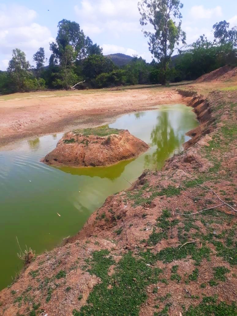 The depth of the pond near the bank should be deeper proportionate to the diameter of the pond, so as to collect and store more water. The deeper it is, lesser will be the loss due to evaporation, more water storage, good recharge of ground water table.