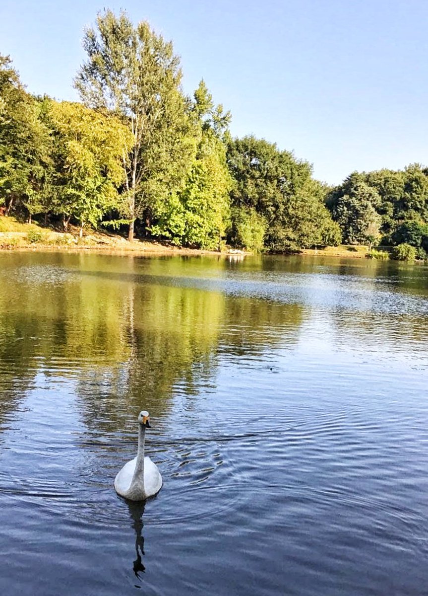 bylimousine's tweet image. Doğaya hasret kaldık. İnsanlar doğanın önemini anlamıştır umarım. 🦢🦢
#istanbul #turkey #park #kuğu #swan #nature #green #göl #like #lake  #sky #sun #summer #beach #beautiful #sunset #blue #flowers #night #tree #twilight #clouds #beauty
#GücümüzYeter