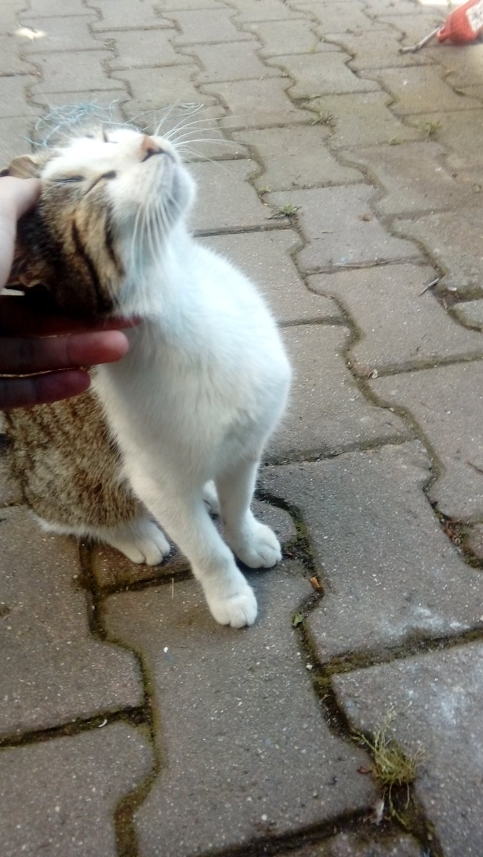 Kardeşleri vefat etti... Moral olsun diye seviyorum