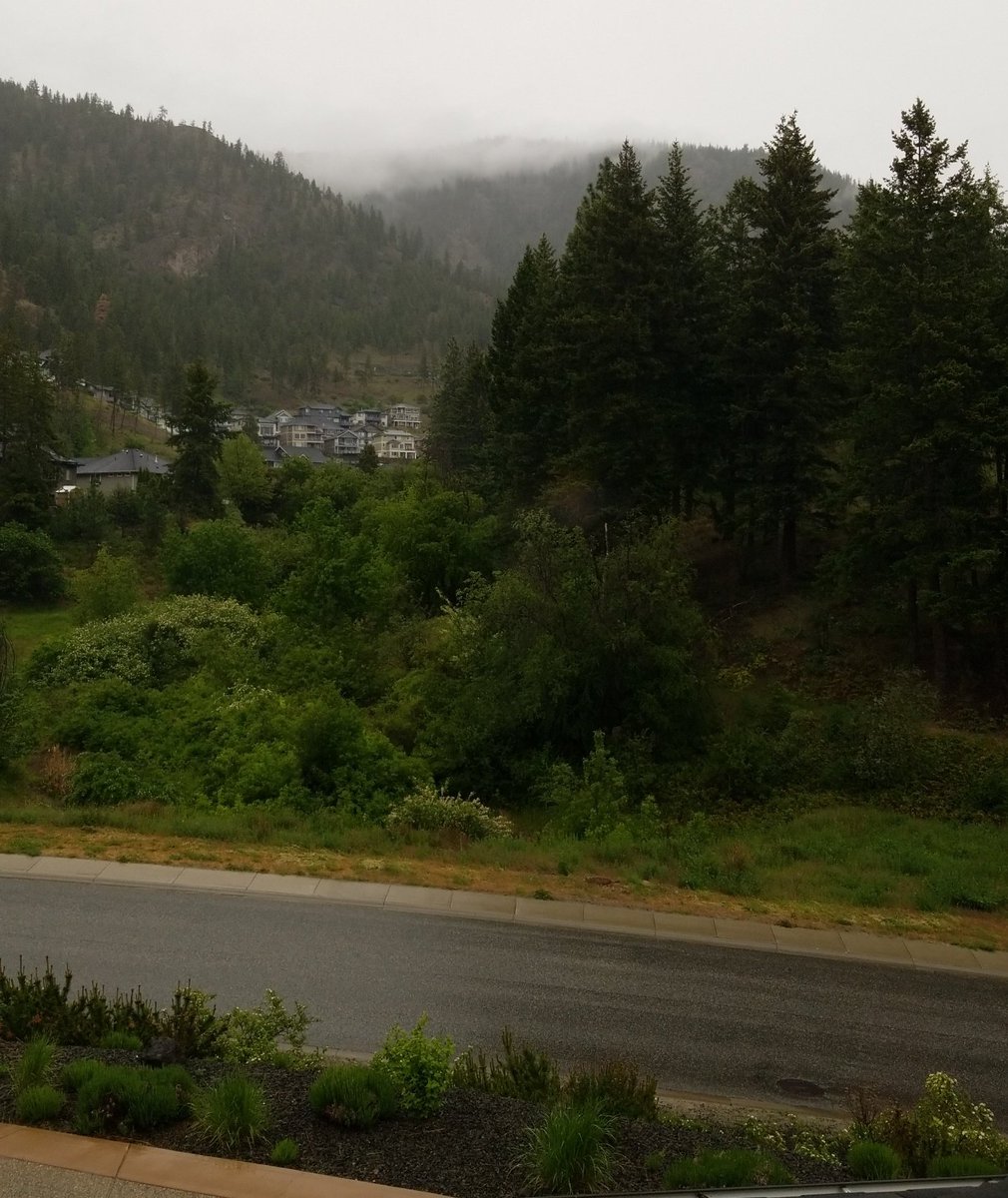 KKurjata's tweet photo. Loving #okanagan rain and all the green space in this @WestKelownaCity neighborhood #peaceful #keepcitiesgreen https://t.co/tMblmZKbXe