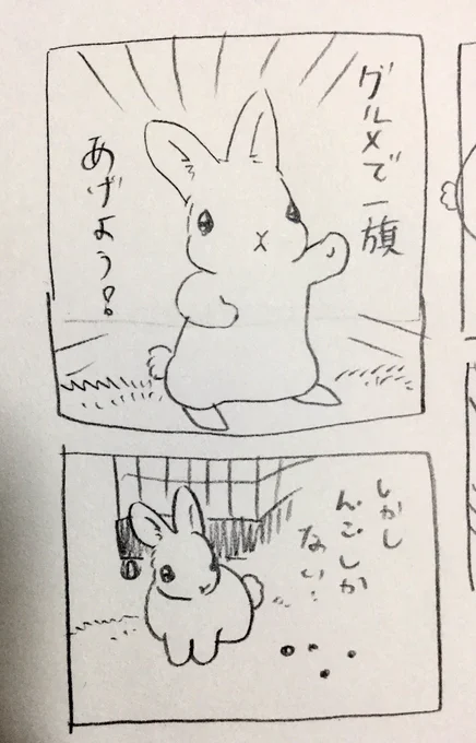 うさぎ漫画
きんちゃん列伝 