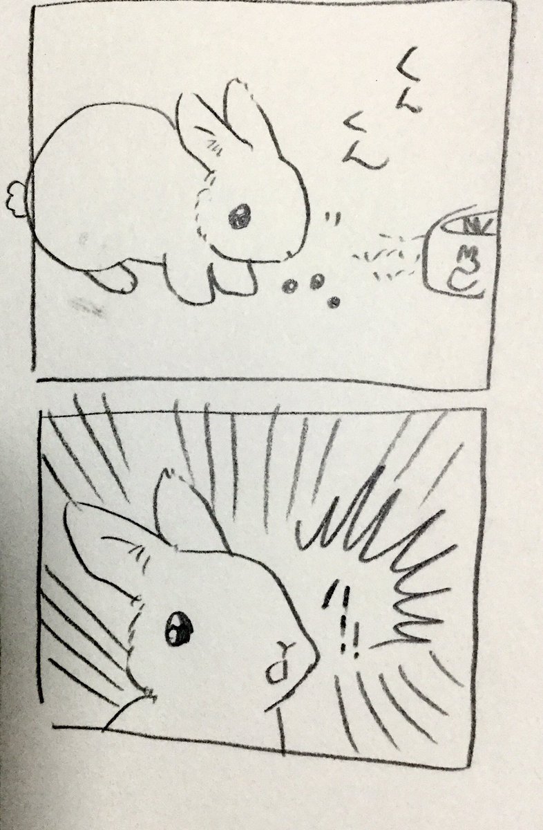 うさぎ漫画
きんちゃん列伝 