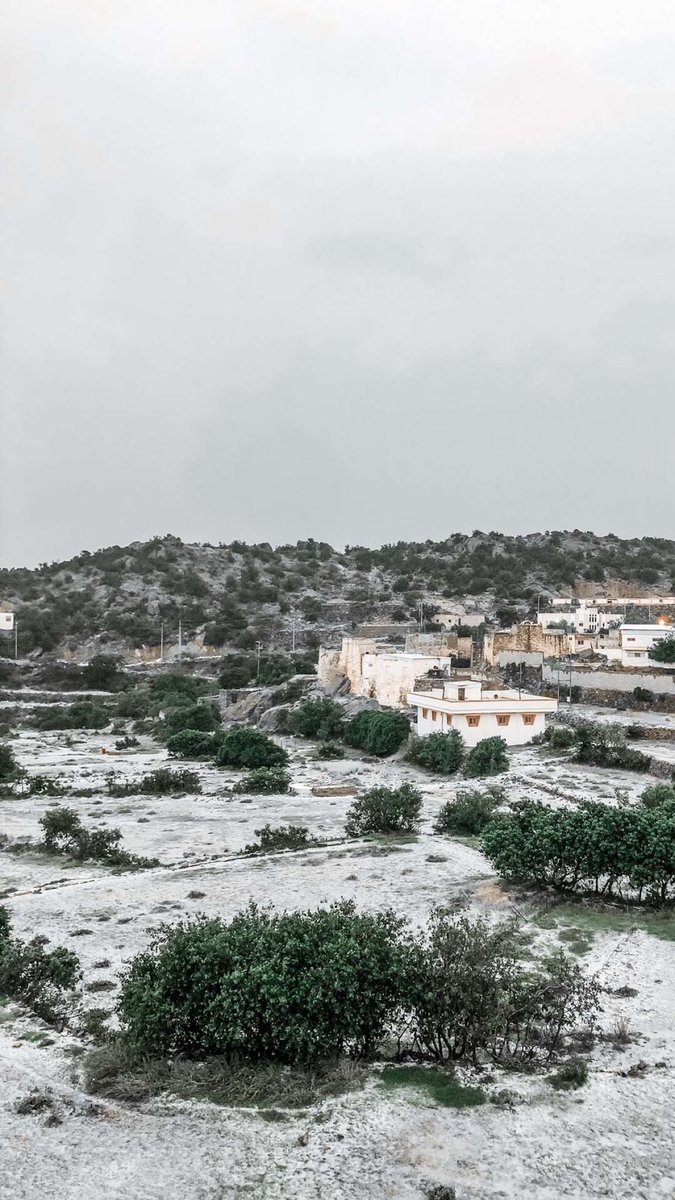 ♻️ عامر tweet media