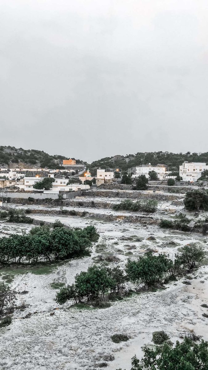 ♻️ عامر tweet media