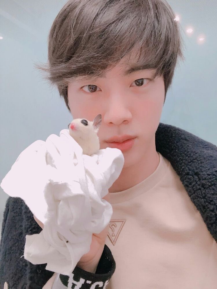 seokjin wrote tonight for his beloved pets, each one who holds a special place in his heart“when i close my eyes, i feel like i’ll only think of the happy memories again.”