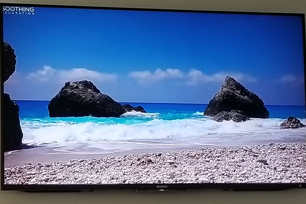 JamieArmin's tweet photo. So cool! Calming waters with 🎶
Hub streamed Soothing Relaxation on the big screen yesterday 💦 Heading over to the ocean later today 🌊☀️🌴
#bluemind #100daysofblue #bluehealth #waterismedicine #bluescription https://t.co/x04dbPYhHA