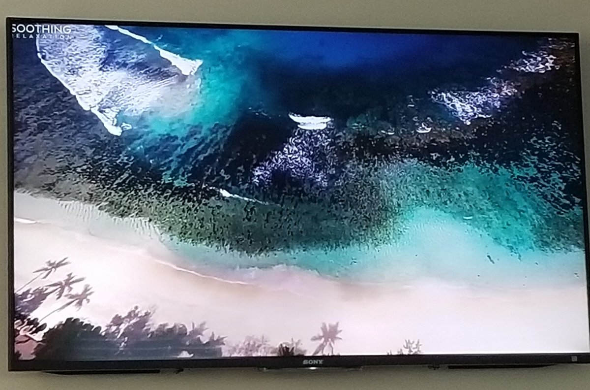 JamieArmin's tweet photo. So cool! Calming waters with 🎶
Hub streamed Soothing Relaxation on the big screen yesterday 💦 Heading over to the ocean later today 🌊☀️🌴
#bluemind #100daysofblue #bluehealth #waterismedicine #bluescription https://t.co/x04dbPYhHA