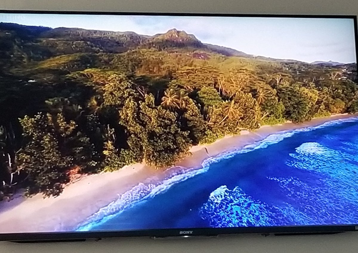 JamieArmin's tweet photo. So cool! Calming waters with 🎶
Hub streamed Soothing Relaxation on the big screen yesterday 💦 Heading over to the ocean later today 🌊☀️🌴
#bluemind #100daysofblue #bluehealth #waterismedicine #bluescription https://t.co/x04dbPYhHA
