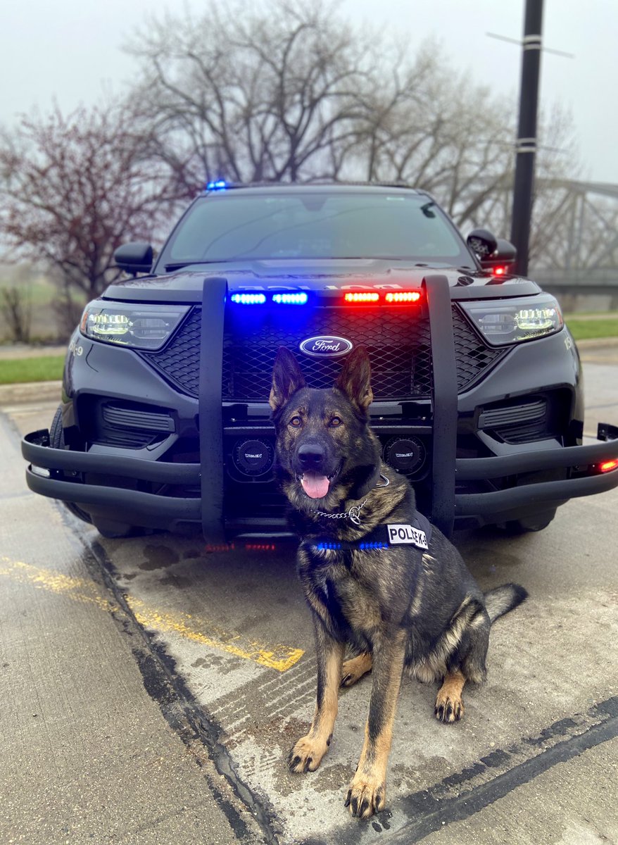 On Memorial Day, we REMEMBER &amp; HONOR our heroes. We may not know them all, but we owe them all. 

Home of the free, because of the brave. 🇺🇸 Have a SAFE &amp; Happy Memorial Day!