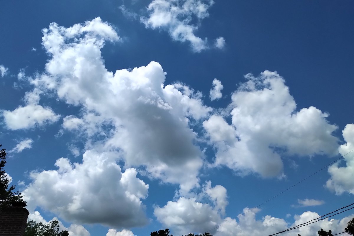 tobyhark's tweet photo. Trying really hard to make this my mood! #ViewFromMyBackyard https://t.co/vEPGGwz7XO