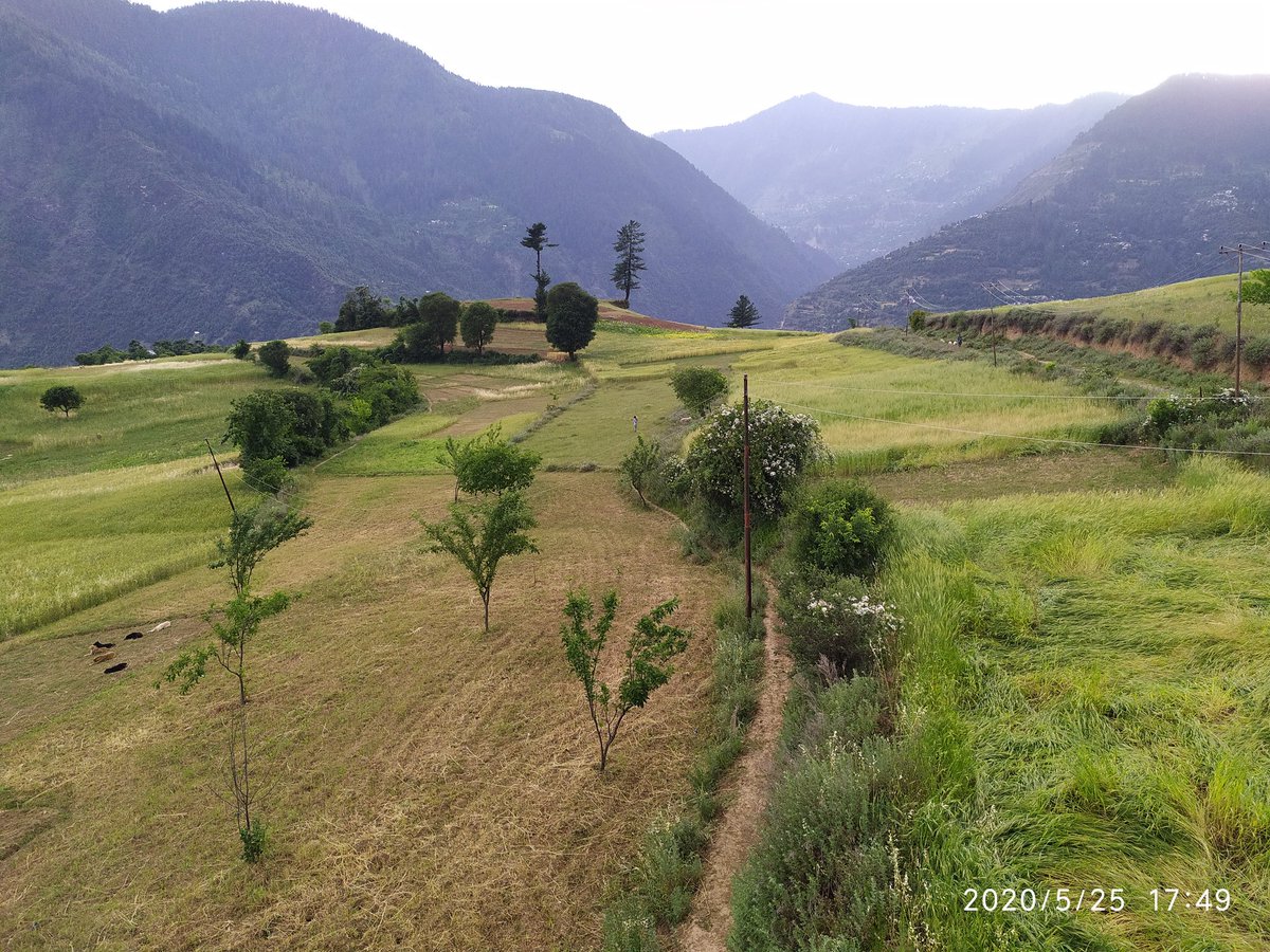 Kulveer_Bharat's tweet photo. Mera gaw Mera desh
#kishtwar #ganeshNagar #pochhal https://t.co/i6qfvHi9Ci