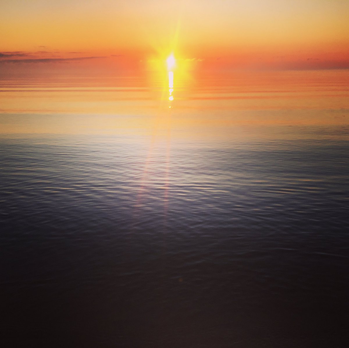 KristinaDryza's tweet image. Please follow me on Insta instagram.com/kristinadryza for more of my #nature pics.
#Nida #CuronianSpit #Lithuania #BalticSea #coast 
#naturephotography #travelphotography #landscapephotography #traveltheworld #naturelovers #natureishealing #naturewalk