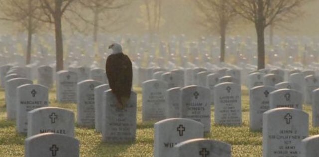 They defended our freedom. Let's not give it away. #HappyMemorialDay