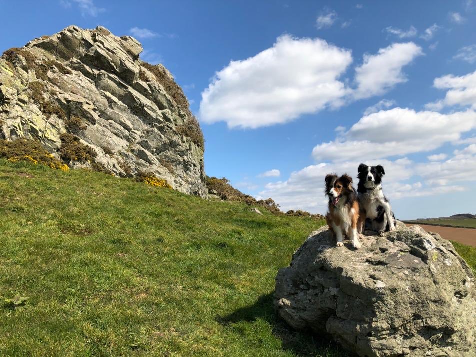 CarswellCottage's tweet photo. The @swcoastpath, right on the doorstep of our holiday cottages, provides stunning walks along the beautiful south Devon coastline &amp; we are making full use of it in this gorgeous weather today ☀️ #southwestcoastpath #walkingholiday #devon #southhams #dogfriendlyholidays #dogwalks https://t.co/jN9rQCXLH8