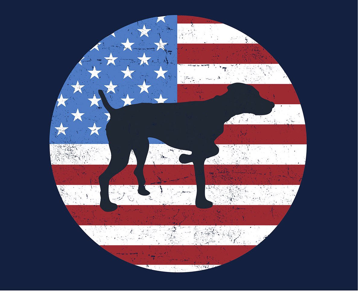 Today we remember and honor those who served. Have a fun and safe Memorial Day!!  #memorialday #thankyou
