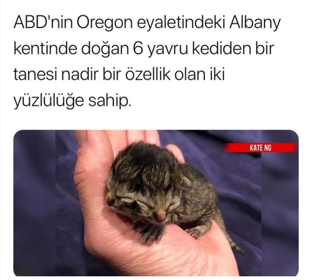 İnsanlar aleminde çok var böyle
